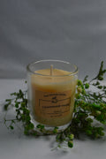 Cinnamon & Vanilla Candle