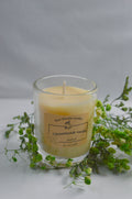 Cinnamon & Vanilla Candle